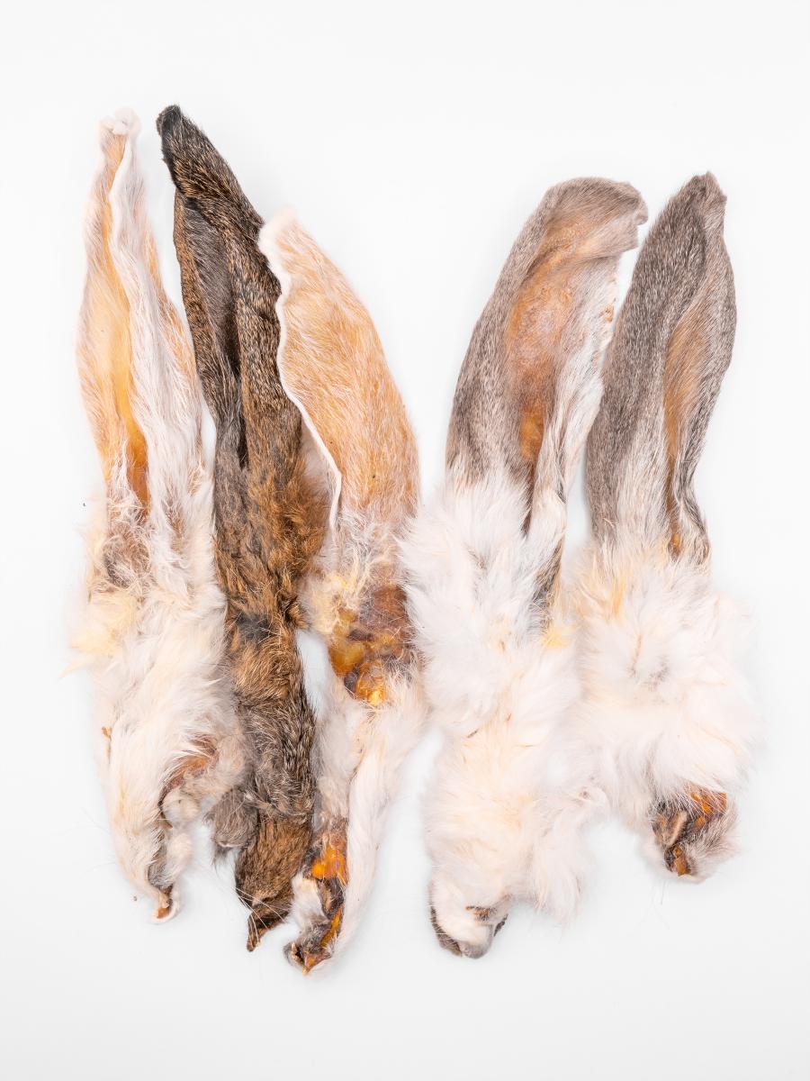 Uszy królicze z futerkiem